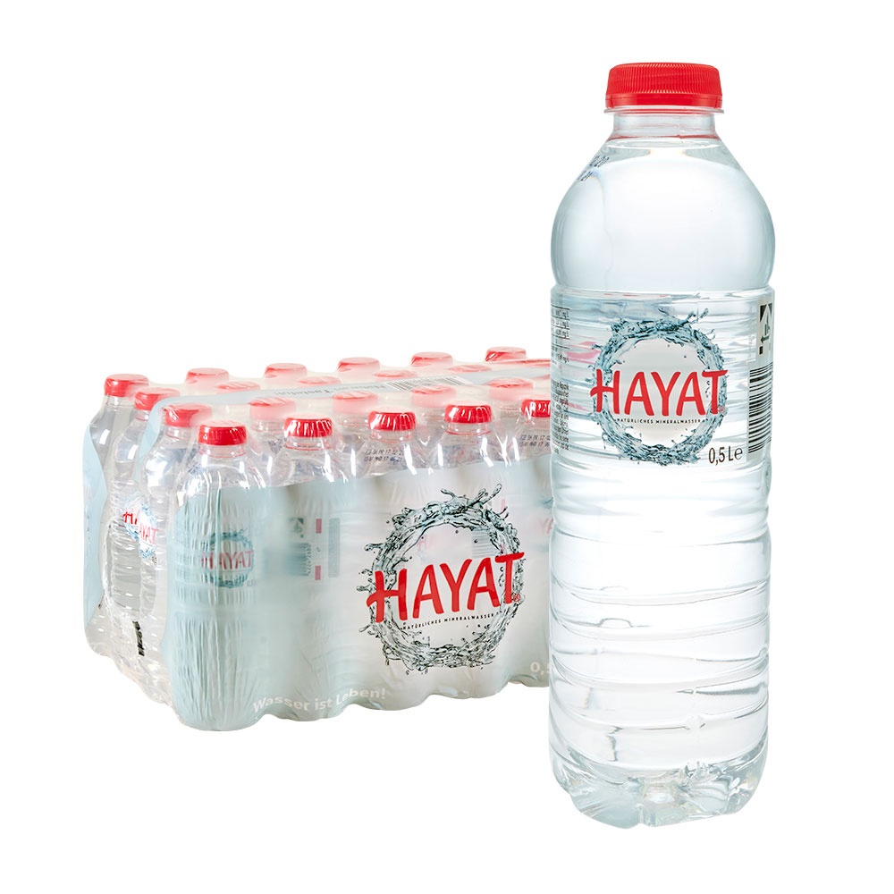 Hayat Wasser 0,5l